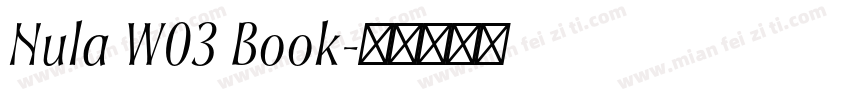 Nula W03 Book字体转换